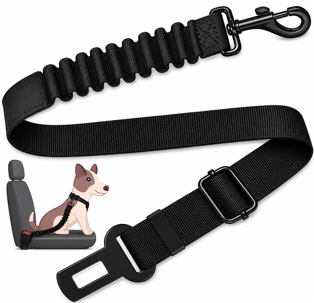 Correa Ajustable LunovaPet®