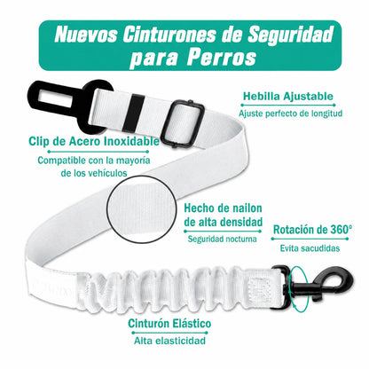 Correa Ajustable LunovaPet®